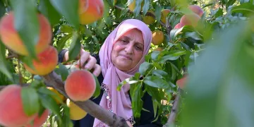 Yıldırım’da üreten kadınlara tam destek