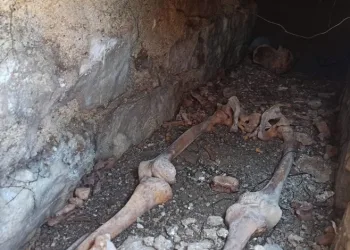 Kuzeninin mezarını ararken Bizans mezarı buldu