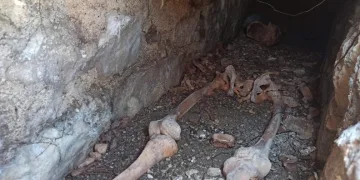 Kuzeninin mezarını ararken Bizans mezarı buldu
