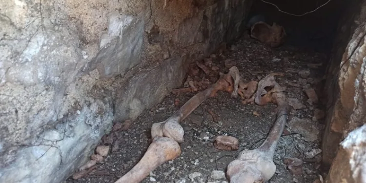 Kuzeninin mezarını ararken Bizans mezarı buldu