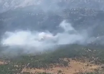 Antalya Akseki’de orman yangını