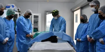 Osmangazi sokak hayvanlarına şifa oldu