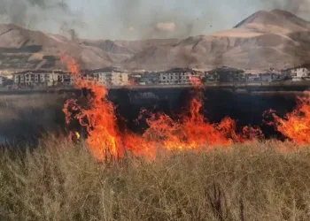 Erzurum’da çocukların oyunu buğday tarlasını yaktı