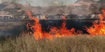 Erzurum’da çocukların oyunu buğday tarlasını yaktı