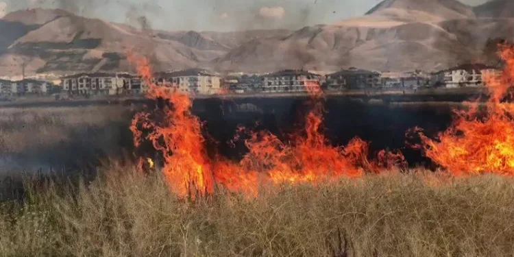 Erzurum’da çocukların oyunu buğday tarlasını yaktı