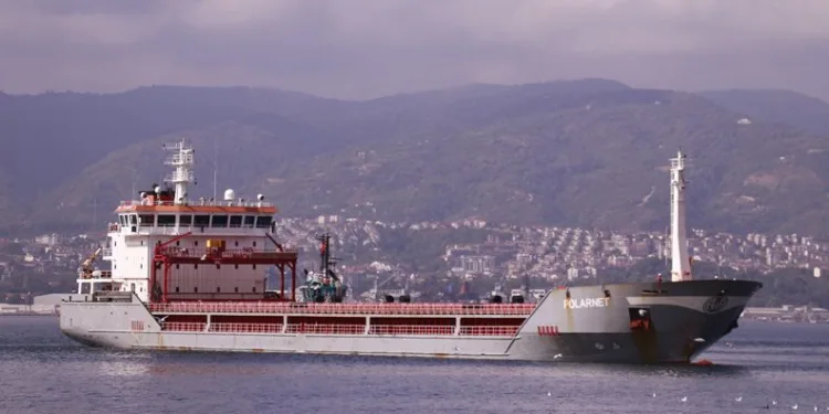 Mısır yüklü “Polarnet” Derince Limanı’na ulaştı