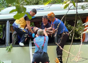 Bursa’da otobüs şarampole uçtu: 5 ölü, 35 yaralı