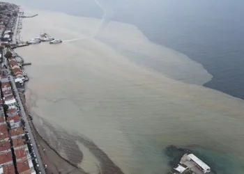 Bursa Mudanya Sahili çamura boyandı