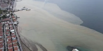 Bursa Mudanya Sahili çamura boyandı