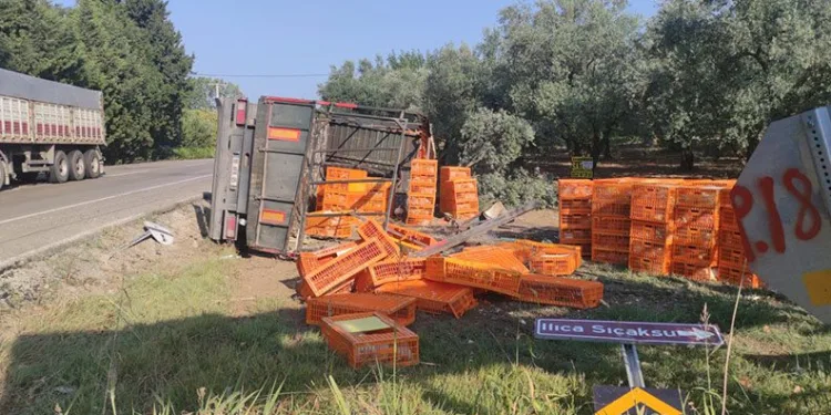 Bursa’da canlı tavuk yüklü TIR devrildi