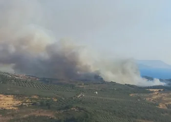İzmir Dikili’de ziraat arazisinde yangın