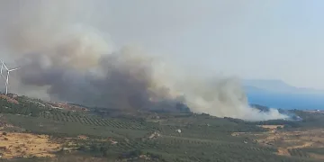 İzmir Dikili’de ziraat arazisinde yangın