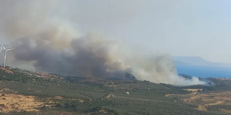 İzmir Dikili’de ziraat arazisinde yangın
