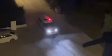 Bursa’da polis domuzları sirenle kovaladı