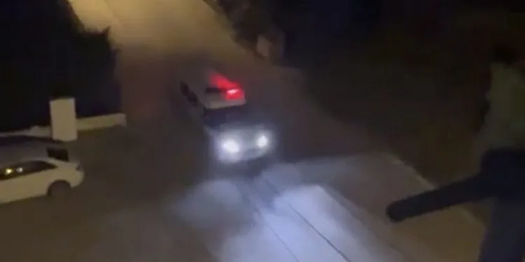 Bursa’da polis domuzları sirenle kovaladı