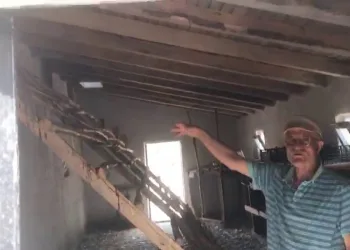 Sivas’ta gözü gibi baktığı 120 tavuk çalındı