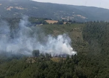 Bursa’da 2 ayrı noktada orman yangını