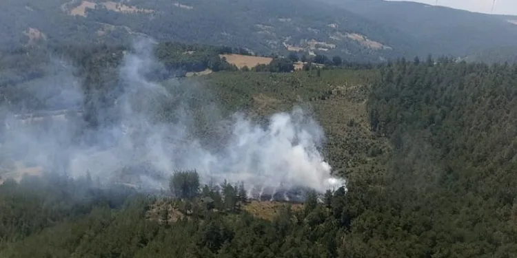 Bursa’da 2 ayrı noktada orman yangını