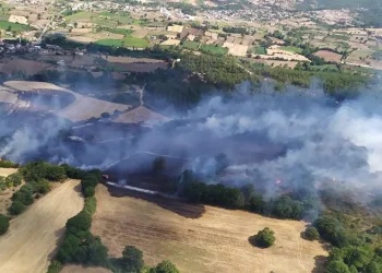 Çanakkale Çan’da orman yangını