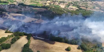 Çanakkale Çan’da orman yangını