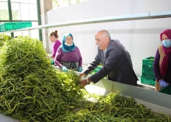 Bursa’da üretken belediyecilik bilimin gündeminde