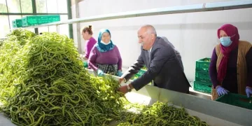 Bursa’da üretken belediyecilik bilimin gündeminde