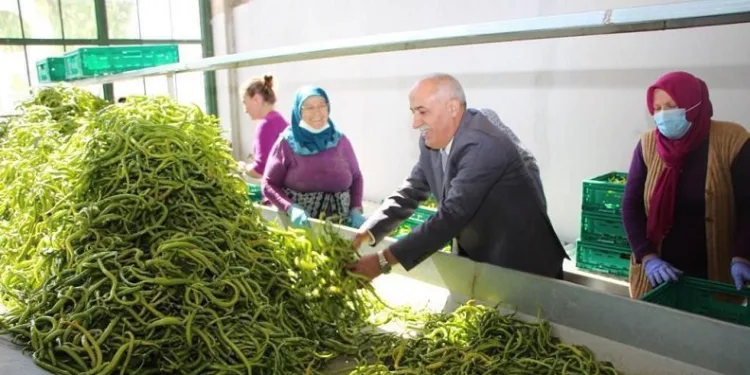 Bursa’da üretken belediyecilik bilimin gündeminde