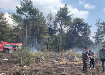 Balıkesir’de orman yangınına hızlı müdahale