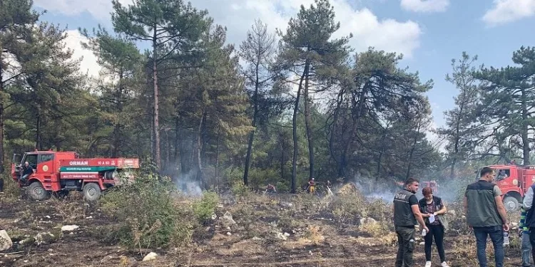 Balıkesir’de orman yangınına hızlı müdahale