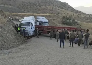 Şırnak’ta gölgesinde beklediği TIR’ın altında kalarak can verdi