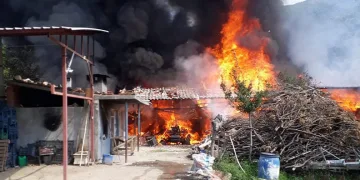 Bursa’da samanlıktaki yangın ardiyeye sıçradı