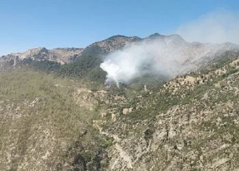 Kahramanmaraş’ta orman yangını
