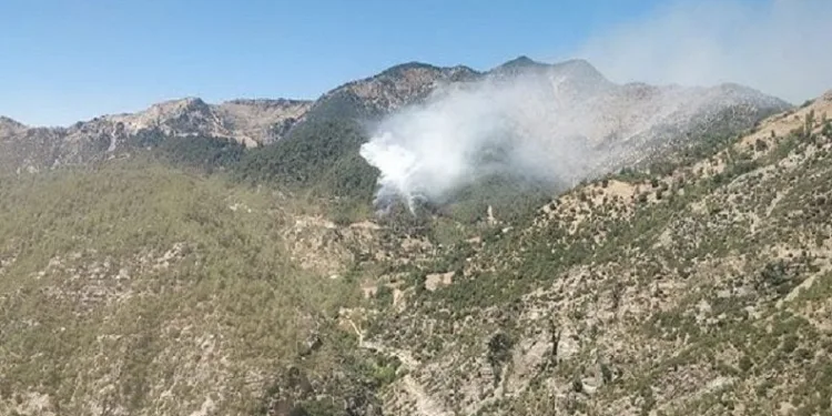 Kahramanmaraş’ta orman yangını