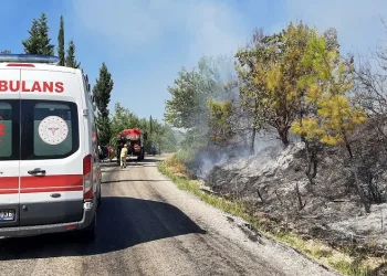 Osmaniye’deki orman yangını kontrol altında
