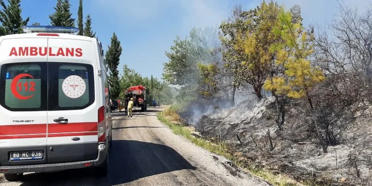 Osmaniye’deki orman yangını kontrol altında