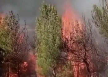 Kahramanmaraş’ta ikinci orman yangını