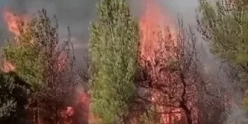 Kahramanmaraş’ta ikinci orman yangını