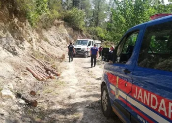 Osmaniye’de uçurumdan düşerek hayatını kaybetti
