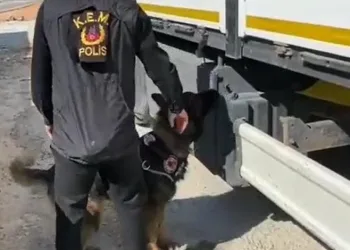 Gübre çuvalları arasında kaçak sigara