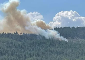 Bursa’da orman yangını