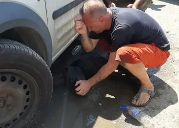 Köpeğinin yaşaması için dakikalarca kalp masajı yaptı