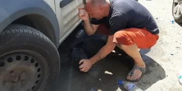 Köpeğinin yaşaması için dakikalarca kalp masajı yaptı