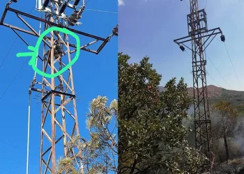 Trafoya çarpan şahin yangına sebep oldu