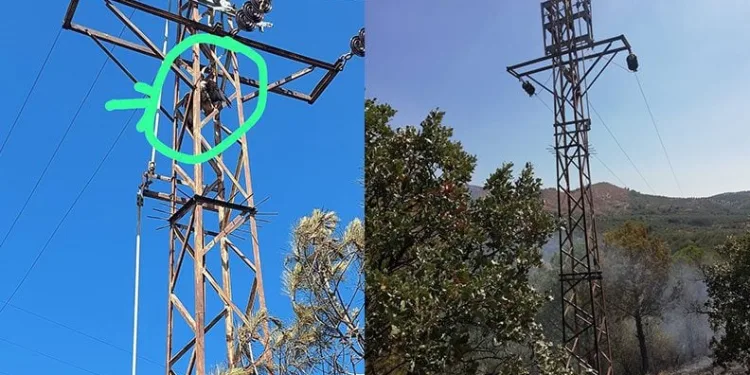 Trafoya çarpan şahin yangına sebep oldu