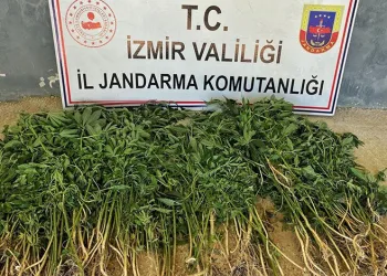 İzmir’in 9 ilçesinde uyuşturucu operasyonları: 26 gözaltı