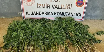 İzmir’in 9 ilçesinde uyuşturucu operasyonları: 26 gözaltı