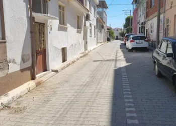 Balıkesir’de bir sokağı pire ve keneler sardı