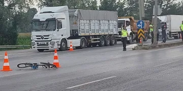 Sakarya’da karşıya geçmek isterken canından oldu