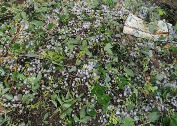 Kastamonu’da dolu yağışı zarara neden oldu