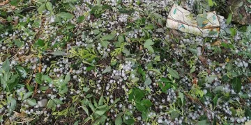 Kastamonu’da dolu yağışı zarara neden oldu